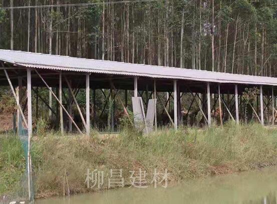 广西柳州养殖棚搭建