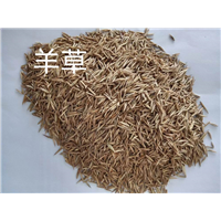 锡林浩特苗木批发基地