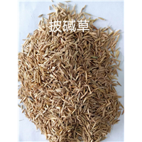 锡林浩特苗木基地