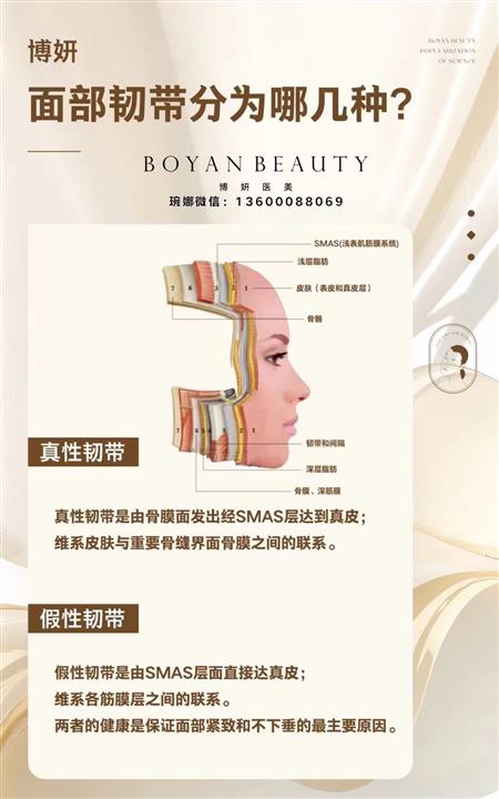 印第安纹韧带是什么