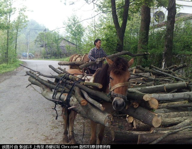 马帮服务运输队 