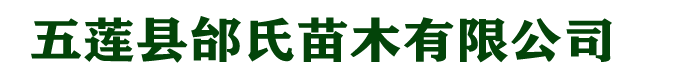 日照樱花基地 