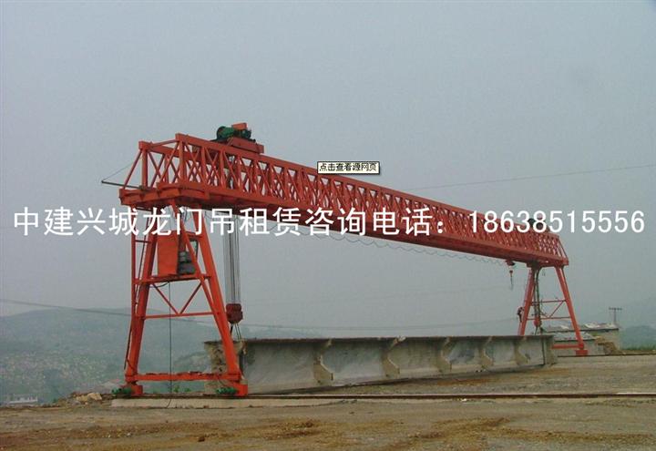 广安龙门吊租赁 