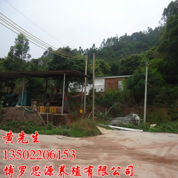 博罗县石坝乌坭湖思源养殖场