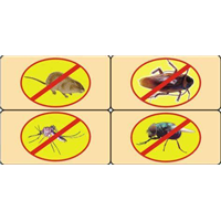 珠海专业蟑螂防治公司13085824648