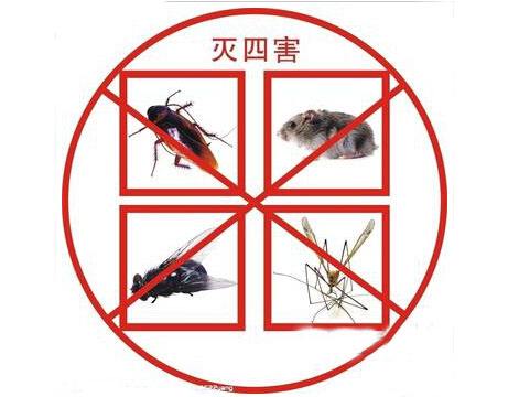 泉州灭四害-惠安白蚁防治 