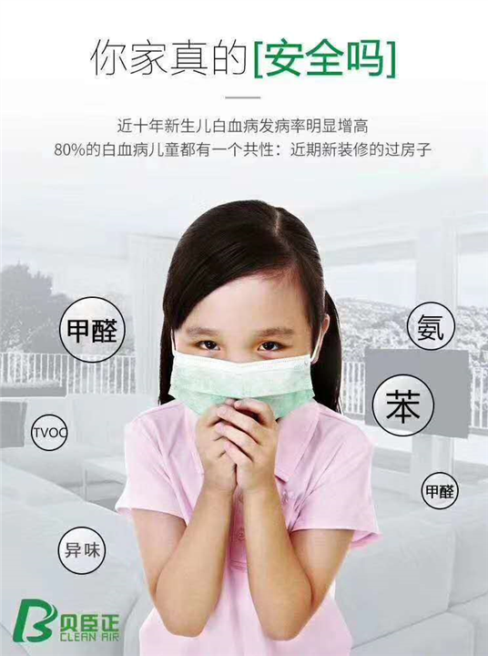 吉安除甲醛公司