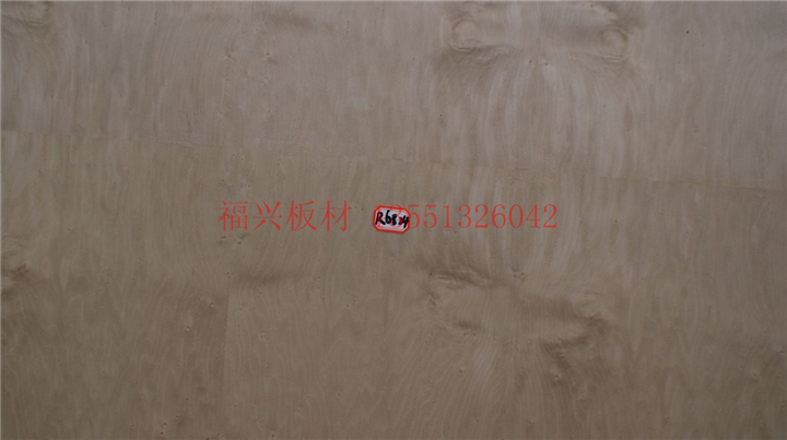 R6824枫木雀眼 