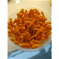 沈阳市安顺虫草种植专业合作社 