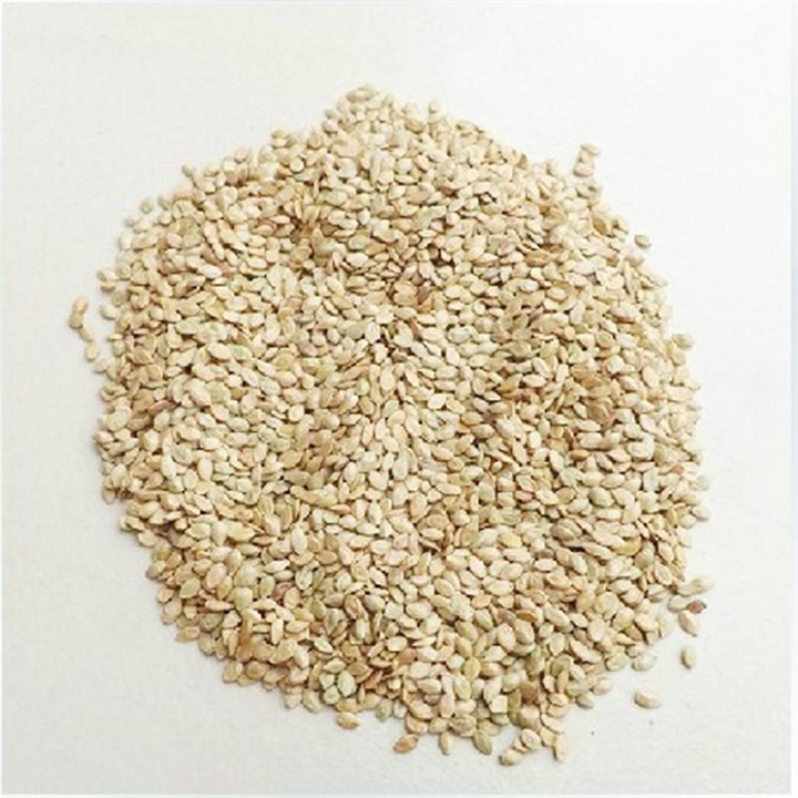 黑龙江百喜草种植基地