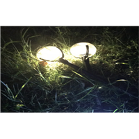 江西地插花园灯厂家直销