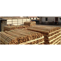 菏泽哪个公司专业安装苗木支撑