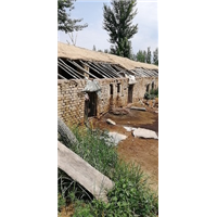 罡玥优质活猪销售