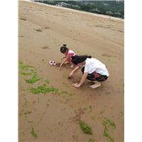 大乳山渔家乐住宿|大乳山景区宾馆预定 