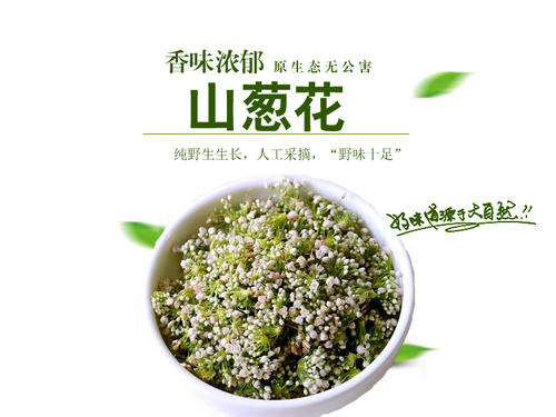 山葱花别名细叶葱