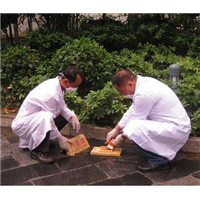 吉首灭鼠公司