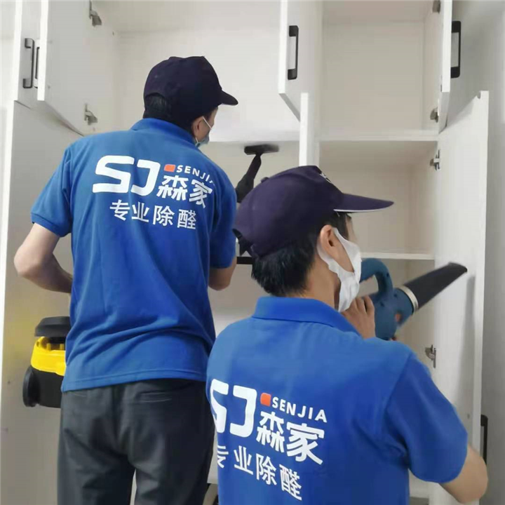 鄂尔多斯正规甲醛检测治理公司