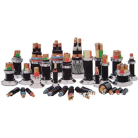 乌鲁木齐低压电力电缆 