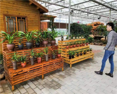 三门峡防腐木花箱