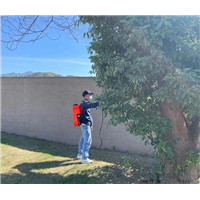 淳安灭鼠公司*有效的方法