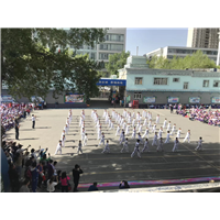 乌鲁木齐跆拳道培训 
