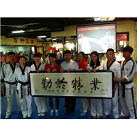 新疆跆拳道培训 