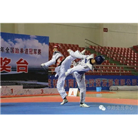 新疆跆拳道培训 