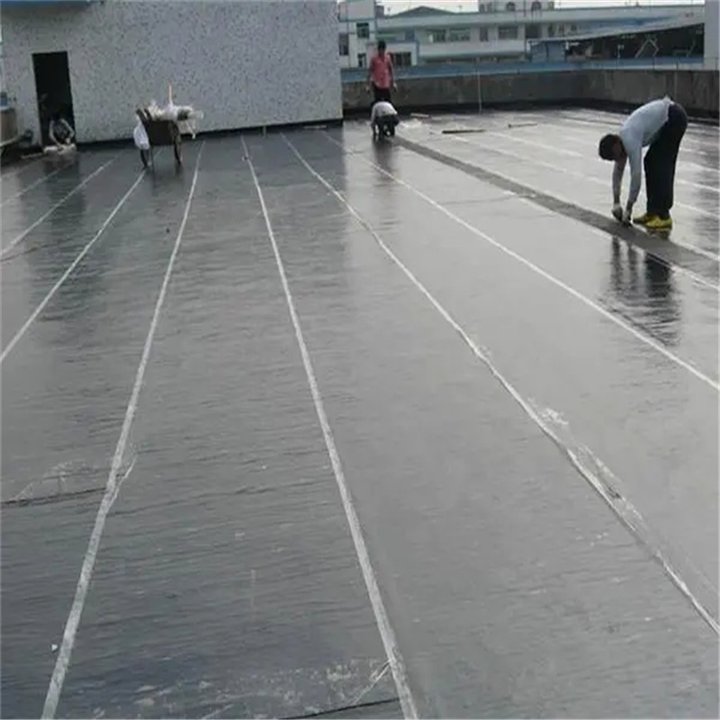 株洲屋面防水