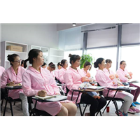 普陀区月嫂收费
