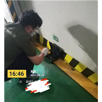 绍兴越秀区灭鼠公司