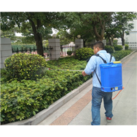 普陀区灭白蚁公司电话