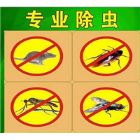 舟山灭四害公司电话