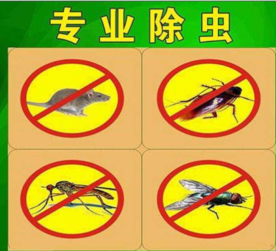 舟山灭四害公司电话