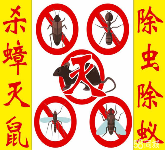 舟山灭白蚁公司