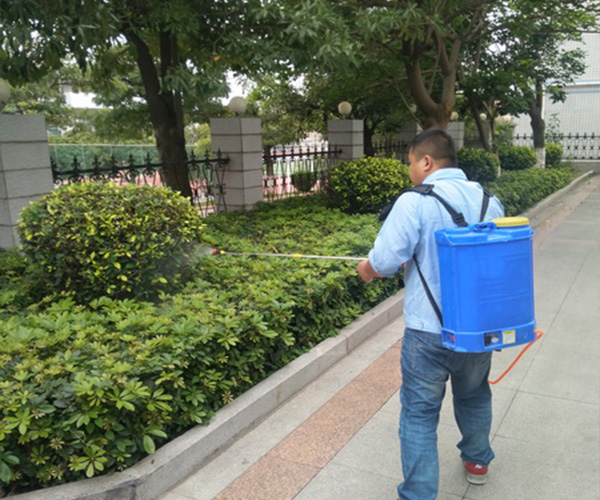 东阳杀虫公司电话