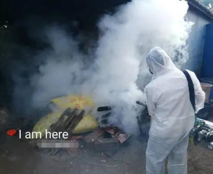 东阳消杀灭虫公司