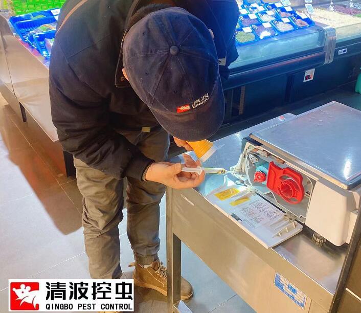 宝鸡灭鼠公司