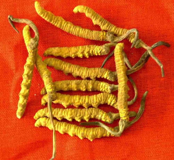 常州无锡烟酒回收2