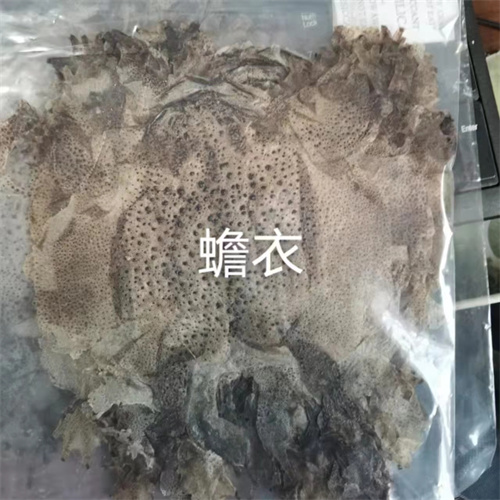 山东蟾蜍皮批发