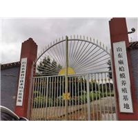 山东蟾蜍养殖手续办理