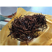 高价上门回收冬虫夏草