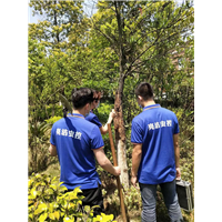 郴州资兴图书馆防白蚁哪家公司好