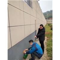 郴州宜章民宿白蚁防治服务电话是多少