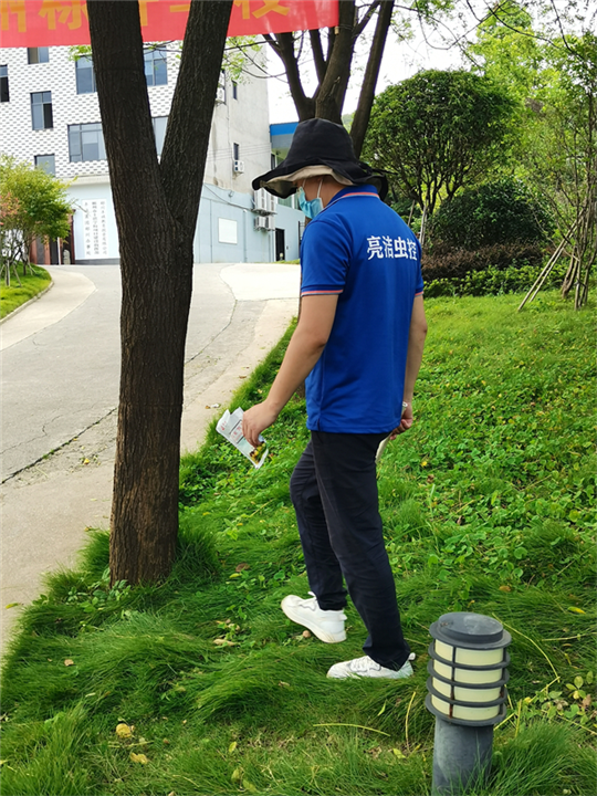 郴州旅馆处理白蚁上门服务电话