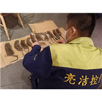 郴州桂阳美容院灭白蚁哪家公司好