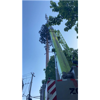 天门吊车出租公司