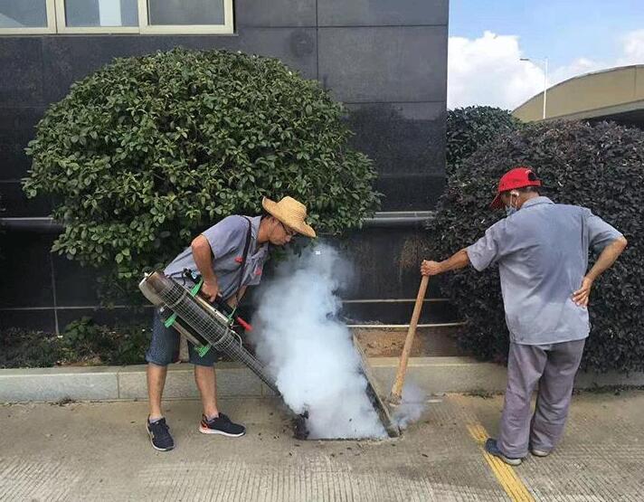 常德灭鼠灭白蚁