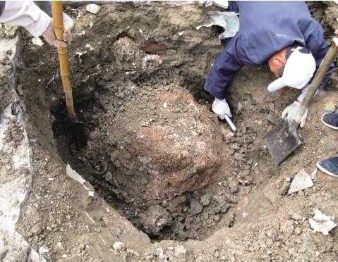 安乡县白蚁防治