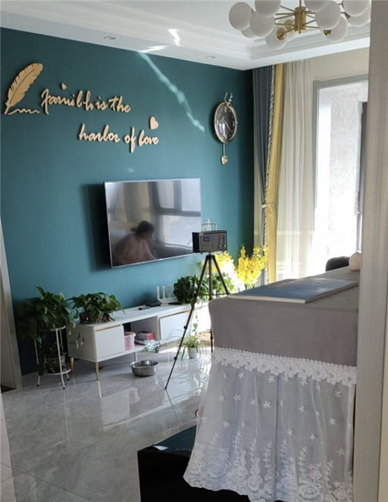 沧州甲醛检测治理除甲醛要多少钱