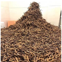 犀浦附近冬虫夏草回收上门电话